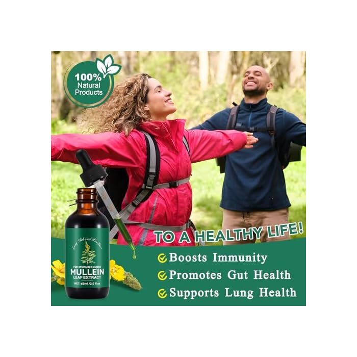 QJCWXIAOX 2 Pack Mullein Drops for Lungs, Mullein Leaf Extract with Chlorophyll,Mullein Leaf Extract for Lung Cleanse and Respiratory Support -2 Bottles - Image 3