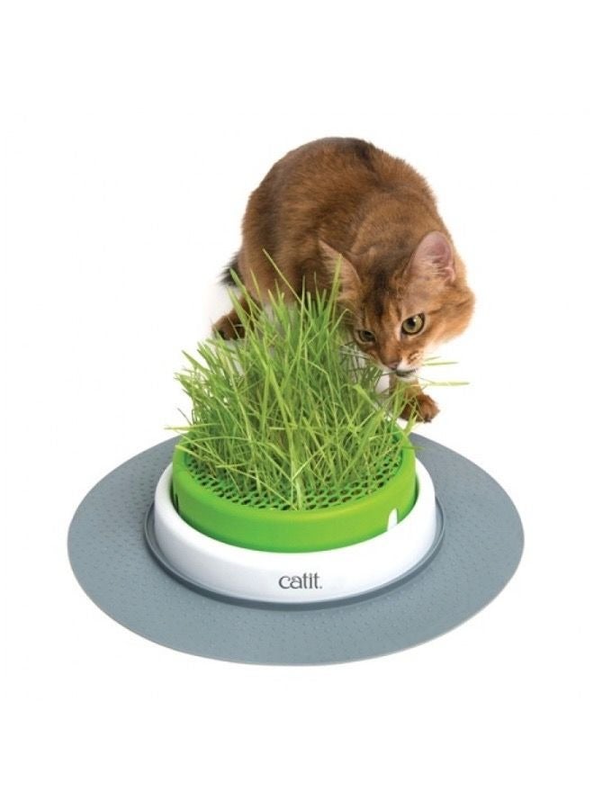 كاتيت سينس 2.0 زارع العشب - Image 3