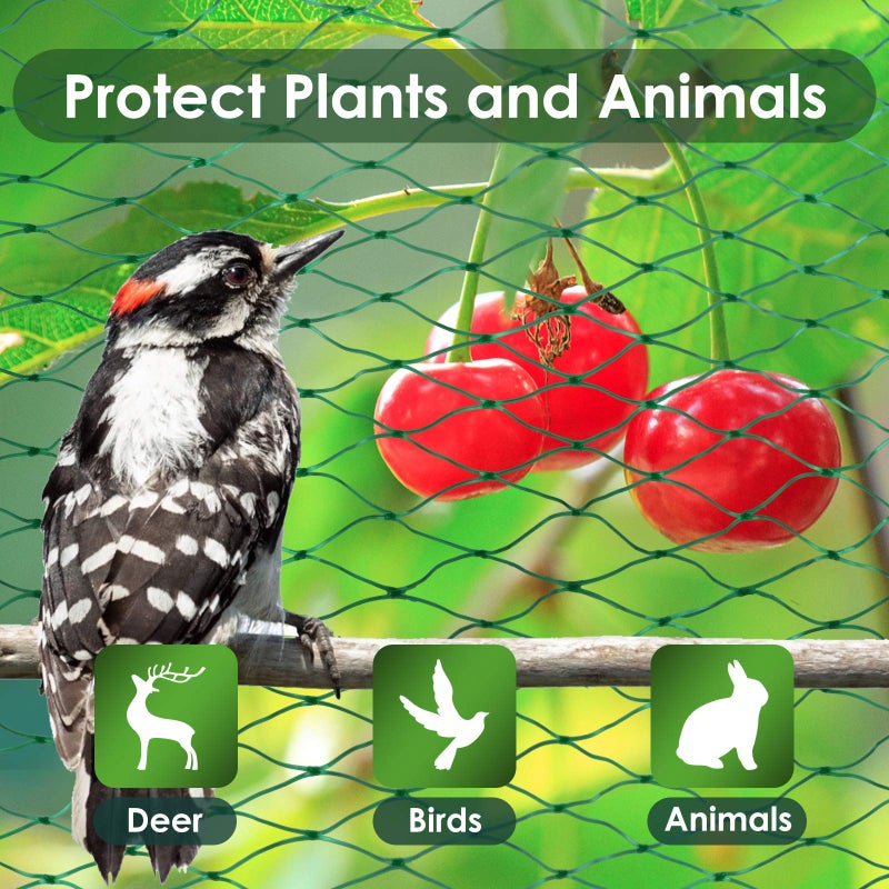 Ruolan Ruolan Bird Netting for Garden Protect Vegetable Plants and Fruit Trees13X20Ft,Plastic Trellis Netting for Birds, Deer,Squirrels and Other Animals  - Image 3