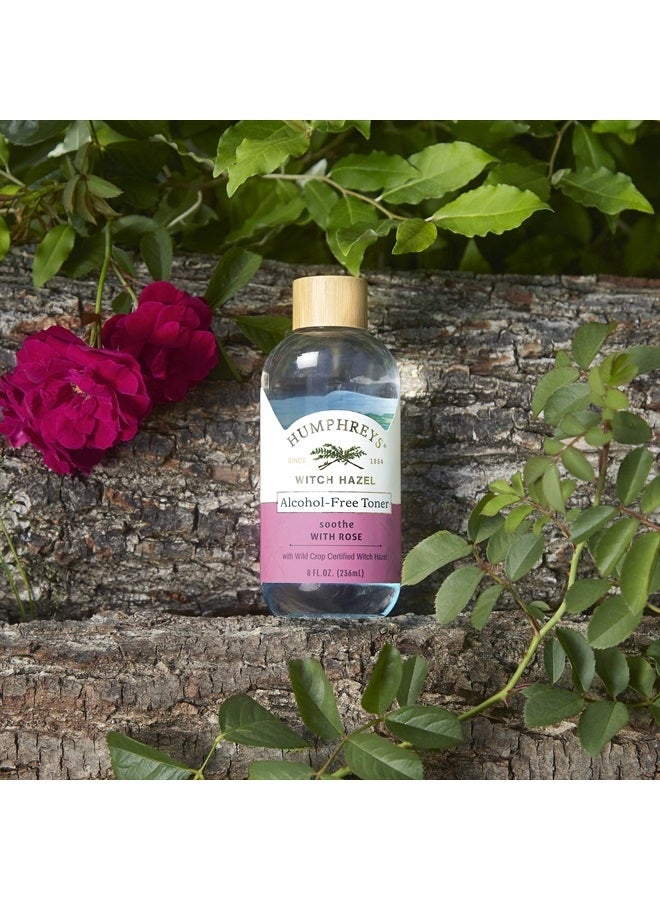 Humphreys Soothe Witch Hazel with Rose Alcohol-Free Toner, Clear, 8 Oz (Pack of 1) - Image 3