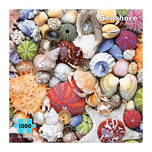 Re-marks Seashore Puzzle 1000-Piece Seashell Puzzle, Artistic Jigsaw Puzzle for All Ages - Made in USA - Image 1