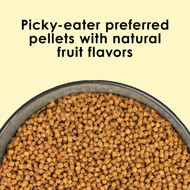 Kaytee NutriSoft Pet Parakeet & Cockatiel Bird Food, 2 lb - Image 3