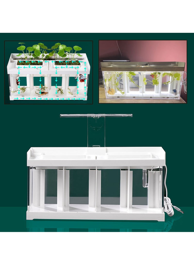 Aquarium four sections separation tank for fighter fish - Image 1