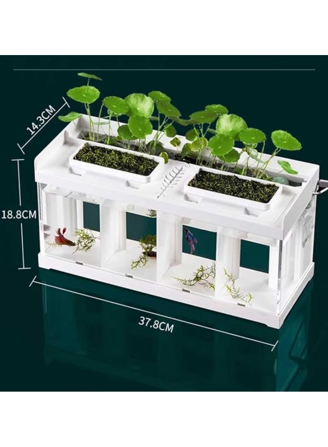 Aquarium four sections separation tank for fighter fish - Image 2