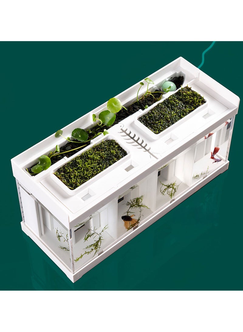 Aquarium four sections separation tank for fighter fish - Image 3