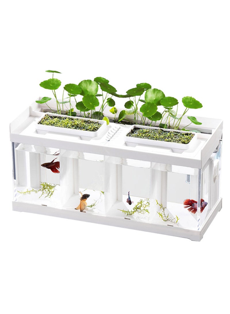 Aquarium four sections separation tank for fighter fish - Image 5