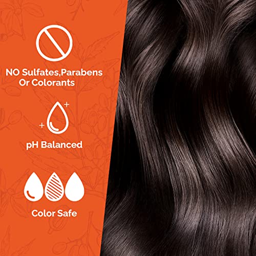 Natural Solution Organic Argan Oil Shampoo – Refreshing, Hydrating, and Extra Nourishing Daily Care for All Hair Types, 17 oz for healthy, vibrant hair - Image 5