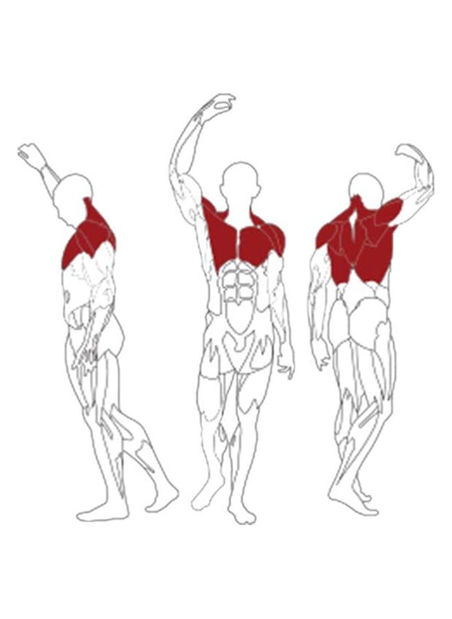 BH Fitness - Fitness Rear Deltoid, 166 Cm Length - Image 1