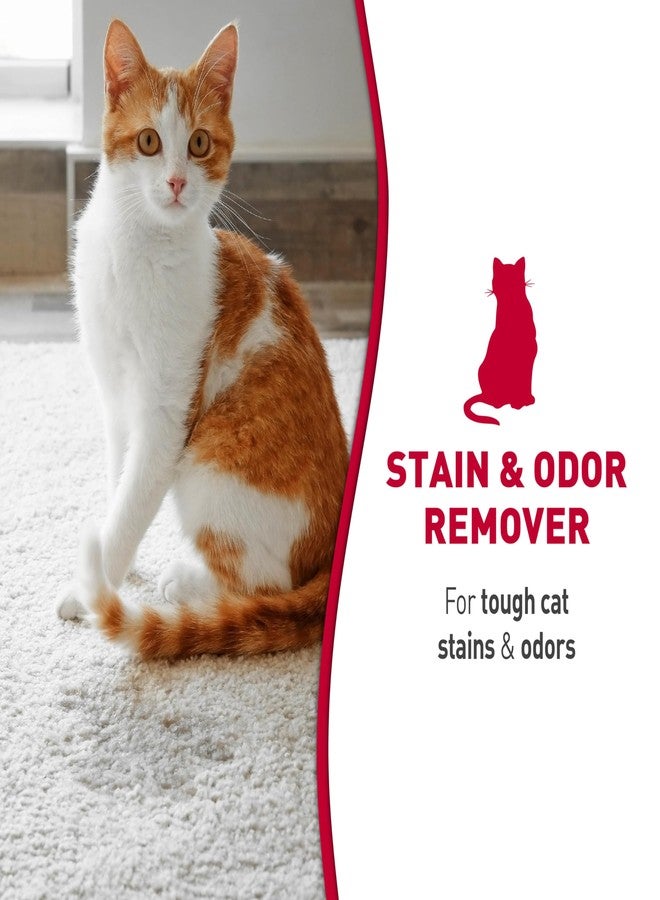 نايتشرز ميريكل بخاخ رغوي لإزالة البقع والروائح من ناتشرز ميراكل للقطط، 17.5 أونصة - Image 2