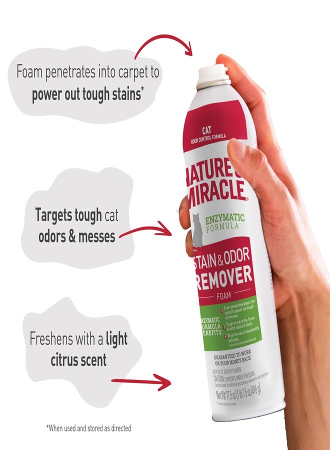 نايتشرز ميريكل بخاخ رغوي لإزالة البقع والروائح من ناتشرز ميراكل للقطط، 17.5 أونصة - Image 5