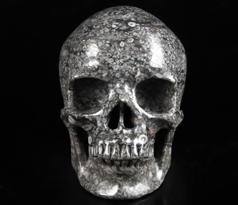 Skullis Skullis 5.0"" Crinoid Fossil Super Realistic Crystal Skull  Hand Carved Gemstone Fine Art Sculpture  Reiki Healing Stone Statue.1223 Z8  - Image 3