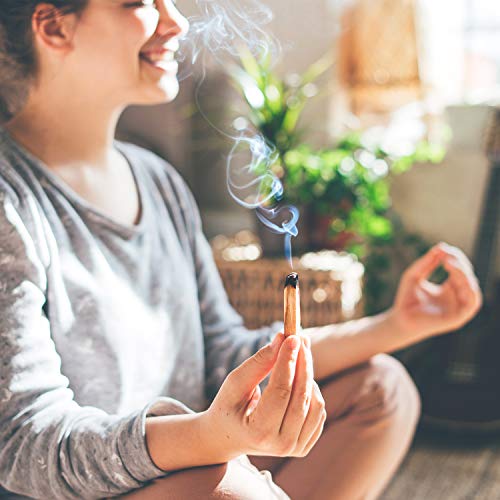Alternative Imagination Palo Santo Sticks - Incense Sticks for Spiritual Cleansing, Stress Relief, Meditation Accessories, Home Fragrance - Sustainably Wild Harvested - Pack of 12 - Alternative Imagination - Image 3
