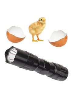 MARGOUN Mini Fully Automatic Egg Incubator with LED Flashlight Torch, 7 Eggs Intelligent Home Temperature Control Incubator for Chicken Duck Goose Quail Birds Fertile Eggs  - Image 4