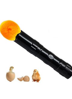 MARGOUN Mini Fully Automatic Egg Incubator with LED Flashlight Torch, 7 Eggs Intelligent Home Temperature Control Incubator for Chicken Duck Goose Quail Birds Fertile Eggs  - Image 5