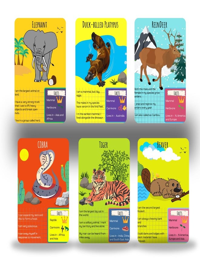 EKDALI Creative Brain Flash Card: Learn in 4 Minutes| Animals of The World| Gift for Ages 5 and up | Super Fun for Starting Conversations in Family. - Image 3