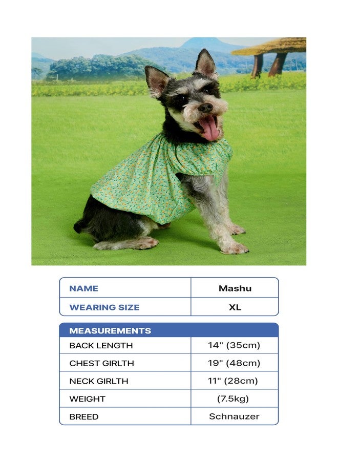 BYC Cooling Body Dry Retro Style Dog Pajamas - Lightweight Breathable Summer Pet Sleepwear, Quick-Dry Moisture-Wicking Fabric, Comfortable Fit, Korean Vintage Design (RED, Medium) - Image 2