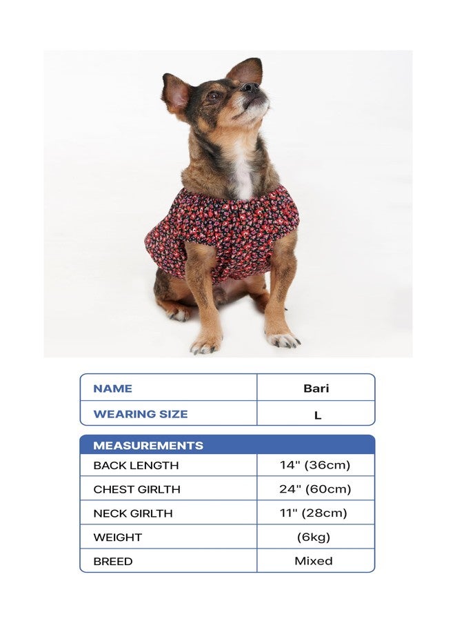 BYC Cooling Body Dry Retro Style Dog Pajamas - Lightweight Breathable Summer Pet Sleepwear, Quick-Dry Moisture-Wicking Fabric, Comfortable Fit, Korean Vintage Design (RED, Medium) - Image 3