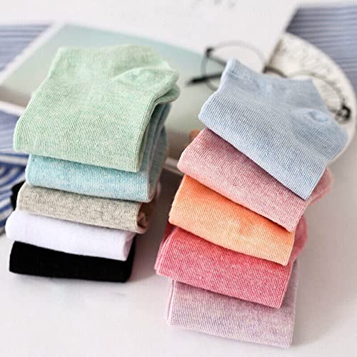 Creature Ankle Length Plain Colourful Socks For Women/Girls-Combo Free Size Pack of 5 Pairs(SCS-WS-07-P-05) - Image 3
