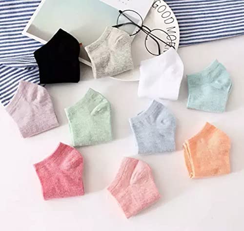 Creature Ankle Length Plain Colourful Socks For Women/Girls-Combo Free Size Pack of 5 Pairs(SCS-WS-07-P-05) - Image 5