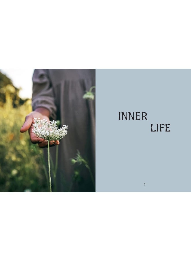 Wild Life: 50 Projects to Rewild Your Life From the Home to Outdoors  - Image 2