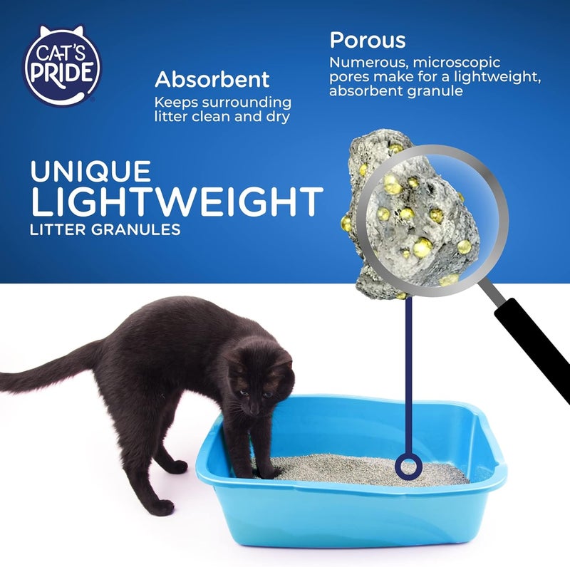 Cat`s Pride Lightweight Clumping Litter: Flushable Easy Scoop - Powerful Odor Control - Scented, 10 Pounds - Image 5