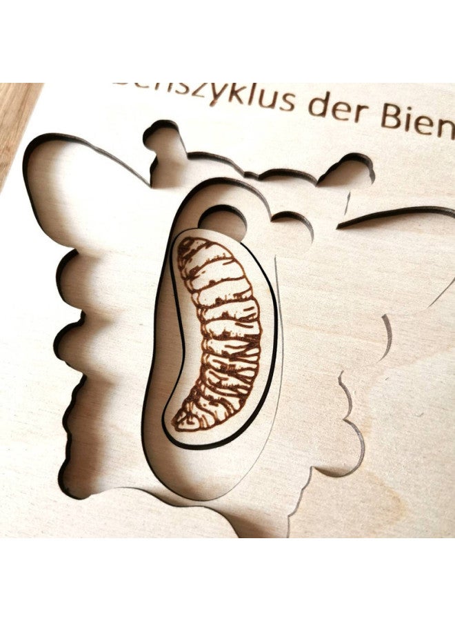 Wood Laser Carving Early Education Enlightenment Life Cycle Puzzle Multi-layer Insect Puzzle Toys Children's Puzzle Puzzle Puzzle-Color:Bee Puzzle - Image 4