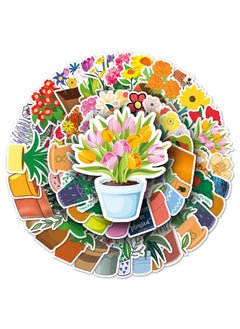 Potted Plants
