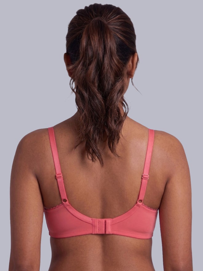 Eden Pack of 2 - Heavily Padded Non Wired Bra - Image 3