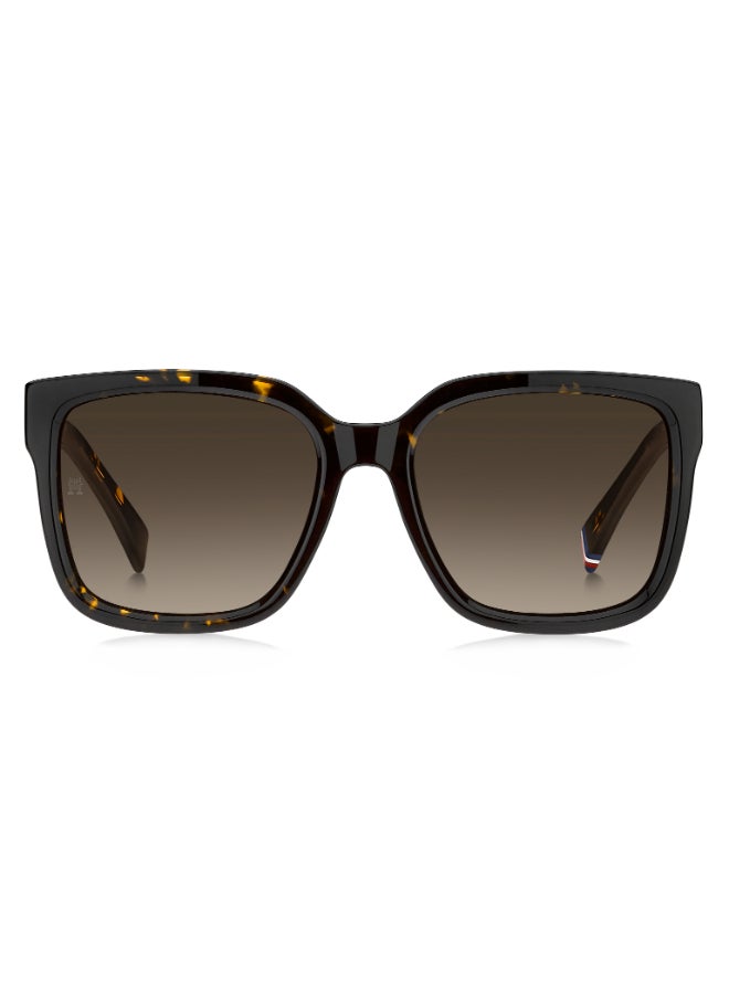 TOMMY HILFIGER TH 2342/S Sunglasses Brown Square - Image 3