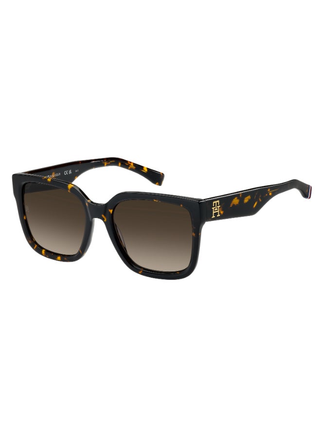 TOMMY HILFIGER TH 2342/S Sunglasses Brown Square - Image 1