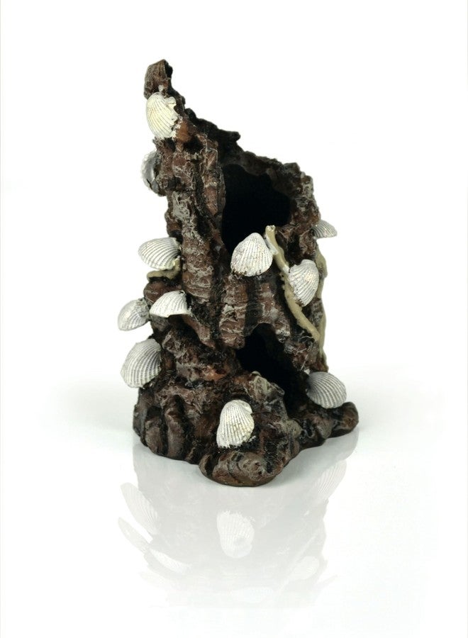 biOrb زينة أحواض السمك البيضاء من BiOrb 46146.0 على شكل أصداف على لحاء - Image 2