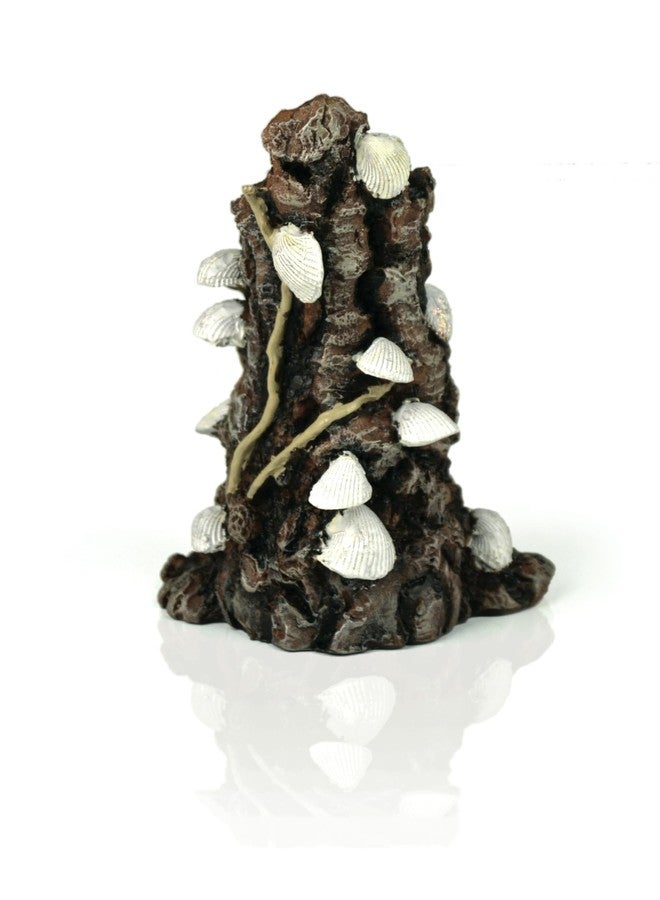 biOrb زينة أحواض السمك البيضاء من BiOrb 46146.0 على شكل أصداف على لحاء - Image 5