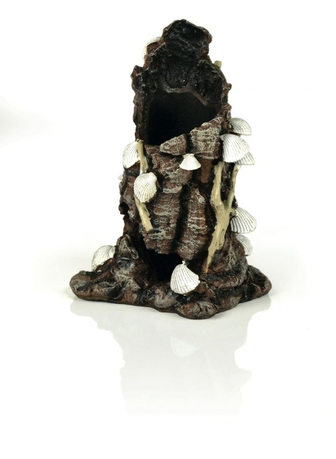 biOrb زينة أحواض السمك البيضاء من BiOrb 46146.0 على شكل أصداف على لحاء - Image 3