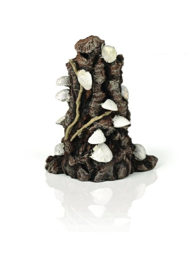 biOrb زينة أحواض السمك البيضاء من BiOrb 46146.0 على شكل أصداف على لحاء - Image 4