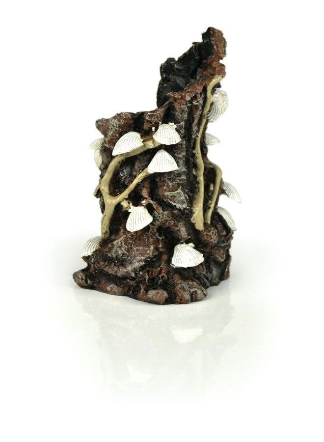 biOrb زينة أحواض السمك البيضاء من BiOrb 46146.0 على شكل أصداف على لحاء - Image 1