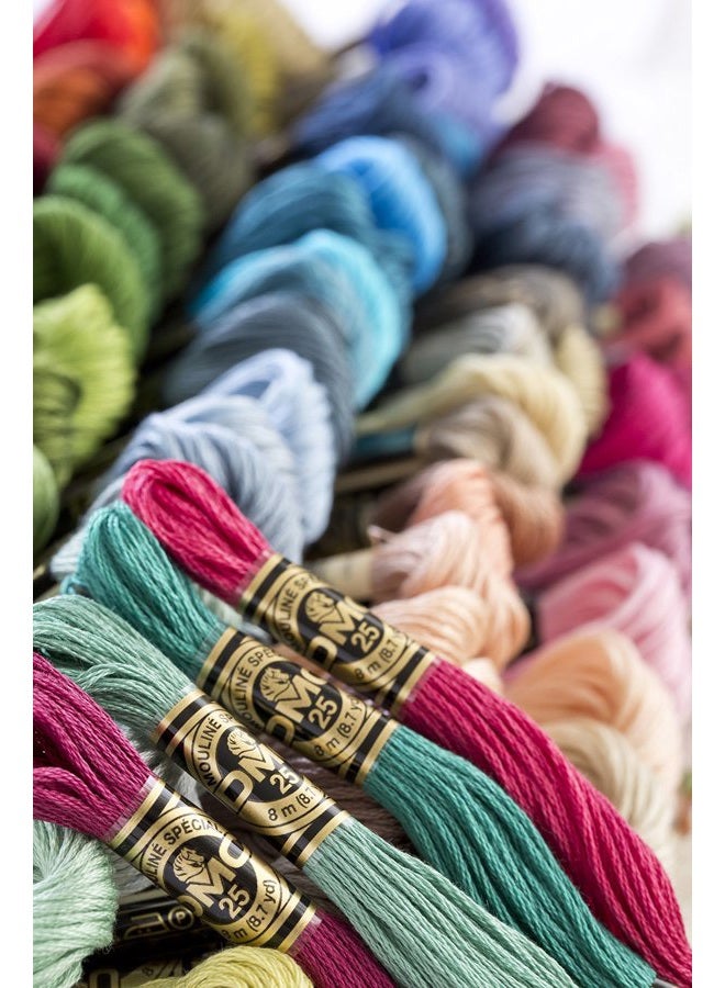 DMC 6-Strand Cotton Embroidery Thread, 8 m, Dark Mocha Brown - Image 5