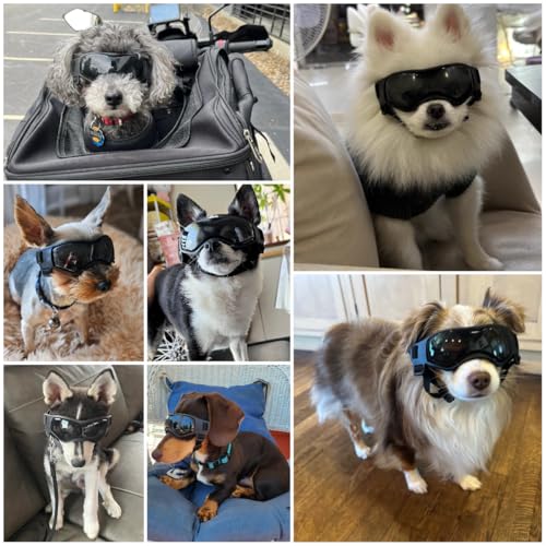 Billionchains Dog Goggles Dog Sunglasses for Small Breed UV Protection Windproof with Adjustable Head Straps Chin Straps for Ride Car/Hiking Travel/On Beach-Black - Image 2