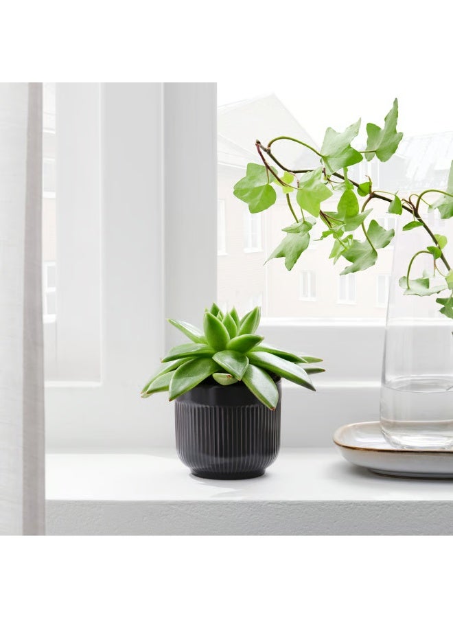 Black Plant Pot – Indoor & Outdoor Decorative Mini Flower Pot, Durable and Stylish, 6 cm Diameter - Image 2
