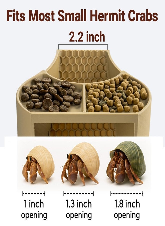 HERPDEN Hermit Crab Habitat Shelter with Dual Food Bowls, 2-in-1 Cave Shelter & Feeding Dish, Textured Climbing Ramp & Viewing Window, Hermit Crab Accessories for Habitat & Tank Setup (Sand) - Image 5