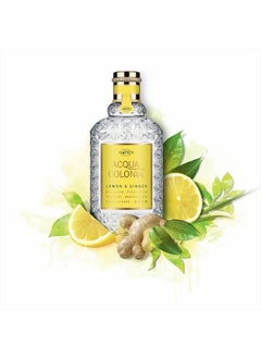 4711 Acqua Colonia Lemon and Ginger Eau de Cologne Spray, 5.7 Ounce  - Image 4