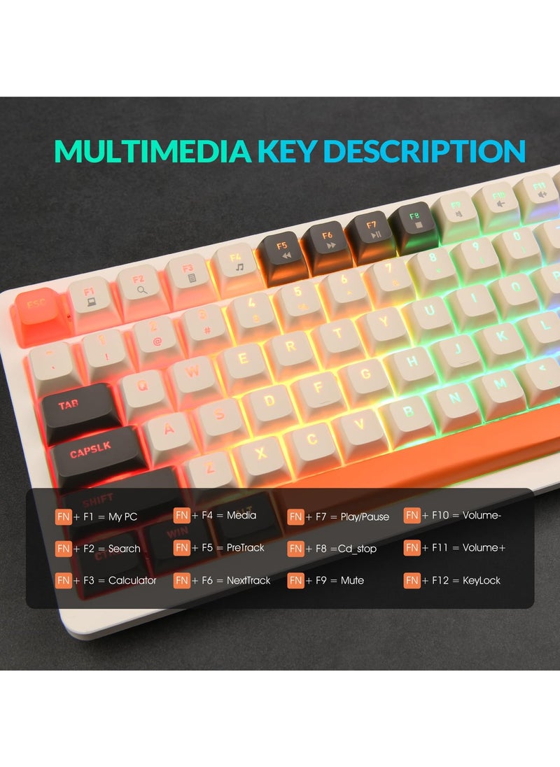 erorex - RK909 Wireless Mechanical Gaming Keyboard, 3 Mode 2.4G/Wired/Bluetooth, Blue Switches, 100 Keys, 20 Modes LED Backlighting, Rechargeable Keyboard for PC Gamers/Mac/Windows/Smartphone - Image 1