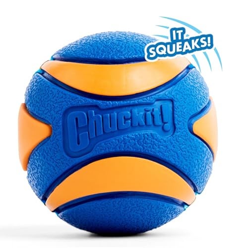 Chuckit Ultra Squeaker Dog Ball - Extra Large Bouncy and Squeaky Pet Toy for Dogs 100+ lbs - Floats on Water - Durable Rubber - Size XL - 3.5" Diameter - Pack of 1 - Image 2