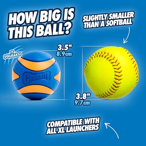 Chuckit Ultra Squeaker Dog Ball - Extra Large Bouncy and Squeaky Pet Toy for Dogs 100+ lbs - Floats on Water - Durable Rubber - Size XL - 3.5" Diameter - Pack of 1 - Image 3