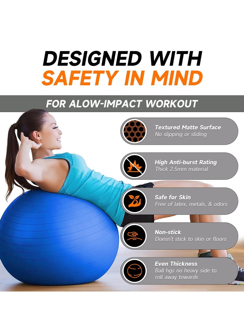 INFOSUN 2 Pack 65 & 25cm Exercise Ball with Quick Foot Pump,Anti Burst and Slip Stability Balance Yoga Ball Chair for Pilates Yoga Birthing Pregnancy Gym Workout Training and Physical Therapy(2 Size)(Blue) - Image 5