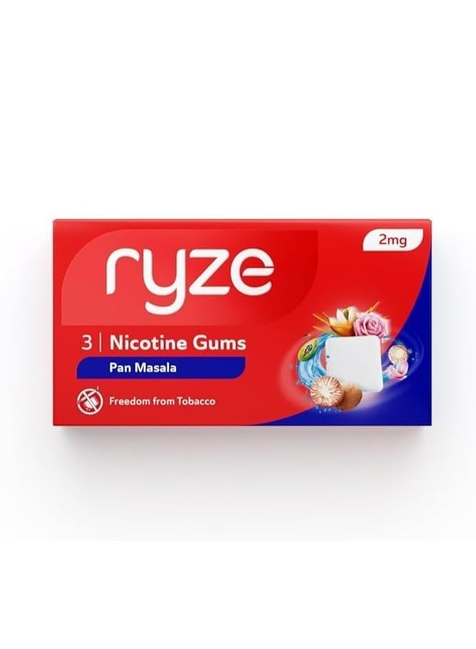 رايز علكة رايز نيكوتين ٢ ملغ، عبوة من ٣٠ قطعة للإقلاع عن التدخين | بنكهة بان ماسالا - Image 1