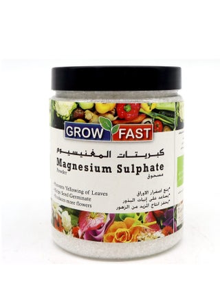 Grow Fast Magnesium Sulphate Powder Epsom Salt 1Kg is a High Quality Epsom Salt Designed to Provide Essential Magnesium and Sulfur Nutrients to Plants. - pzsku/Z993DCE9372F53A337834Z/45/_/1725974108/eda5d4ae-5df1-4f49-9406-a5d98bbd8e27