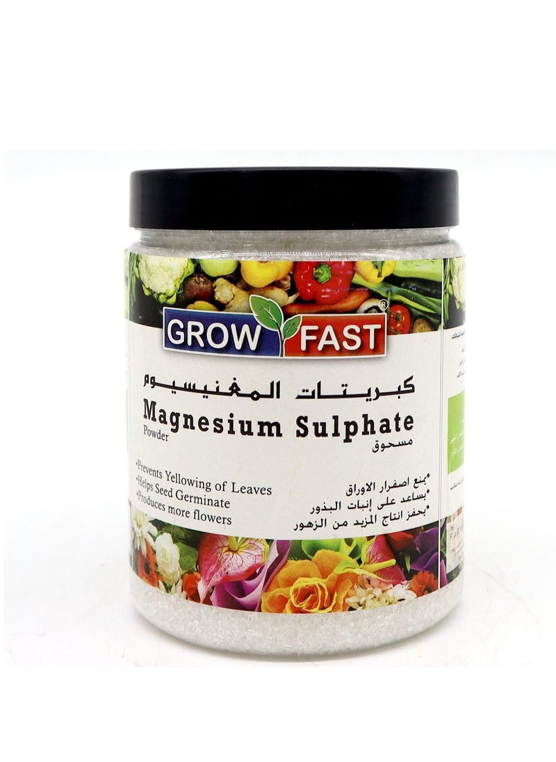 GrowFast - Grow Fast Magnesium Sulphate Powder Epsom Salt 1Kg is a High Quality Epsom Salt Designed to Provide Essential Magnesium and Sulfur Nutrients to Plants. - Image 1