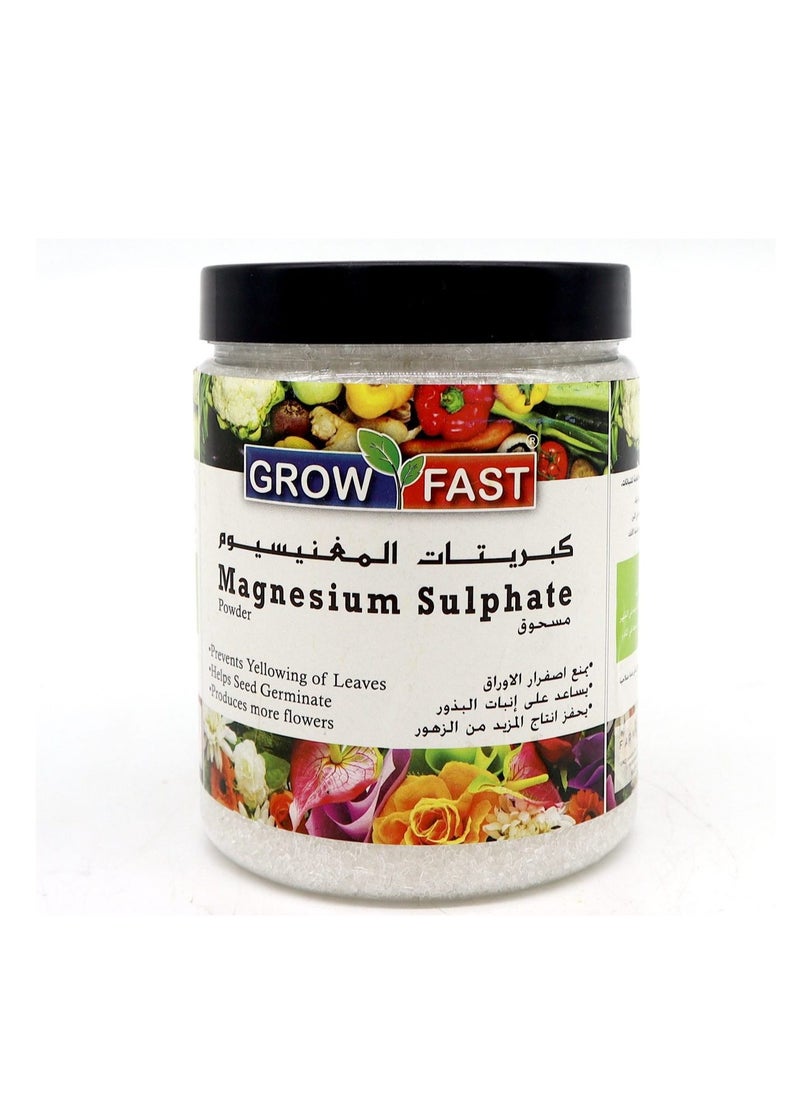 GrowFast - Grow Fast Magnesium Sulphate Powder Epsom Salt 1Kg is a High Quality Epsom Salt Designed to Provide Essential Magnesium and Sulfur Nutrients to Plants. - Image 1