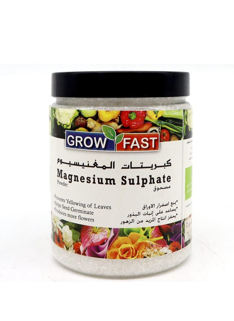 GrowFast - Grow Fast Magnesium Sulphate Powder Epsom Salt 1Kg is a High Quality Epsom Salt Designed to Provide Essential Magnesium and Sulfur Nutrients to Plants. - Image 1