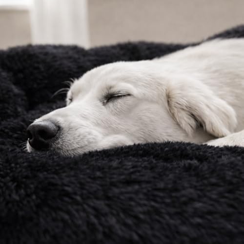 ZEXSAZONE Summer Comfortable Durable Both Sides usable and Washable Pet Bed | Cat Bed | Puppy Bed | Dog Bed | Medium Dog Bed for Cats Puppies (Black, Medium) - Image 3
